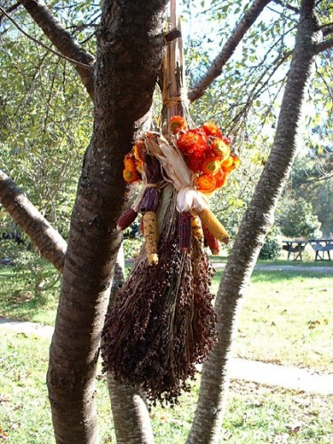 Birdseed bundle
