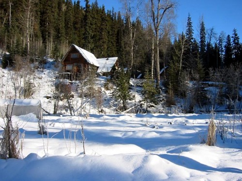 View from the garden