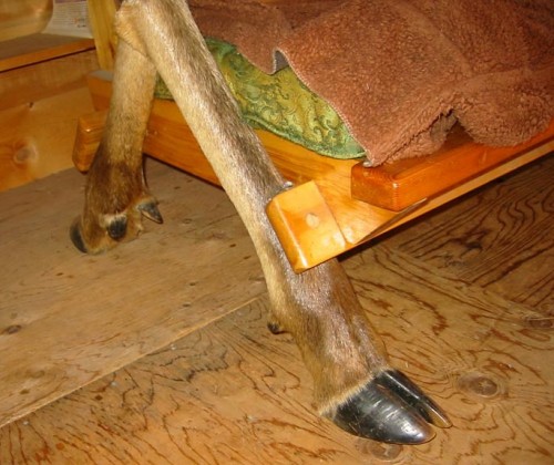 Moose foot couch