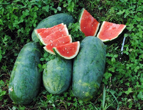 Strawberry Watermelon. 