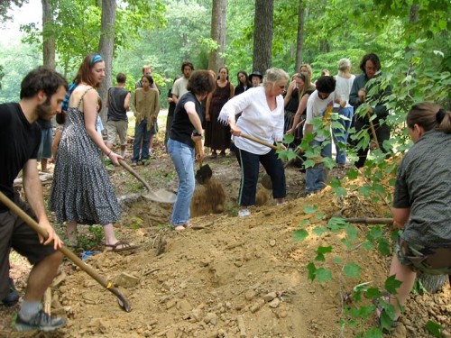 Many hands help bury Kat