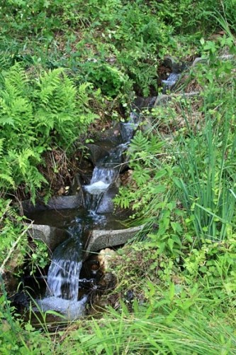 Flow forms at the pond. 