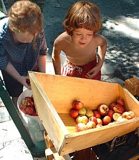 Cider making fall '03.