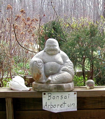Bonsai arboretum