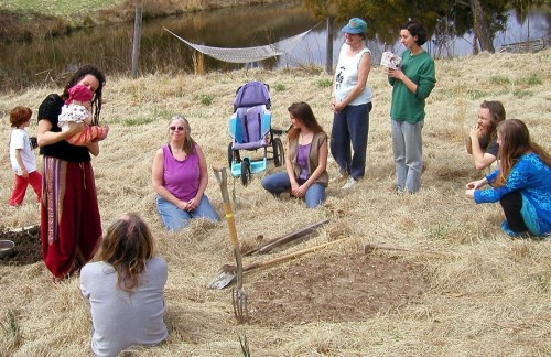 Placenta planting