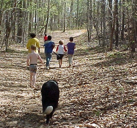 Treasure hunt.