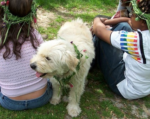 Fletcher, pagan dog.